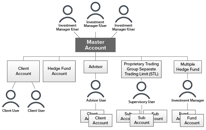 Gráfico sobre la estructura de cuenta de los fondo múltiple